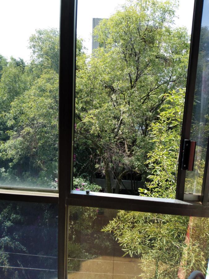 Charming Sunny Bedroom Overlooking Beautiful Amsterdam Avenue In Best Condesa Area Mexico City Exterior photo