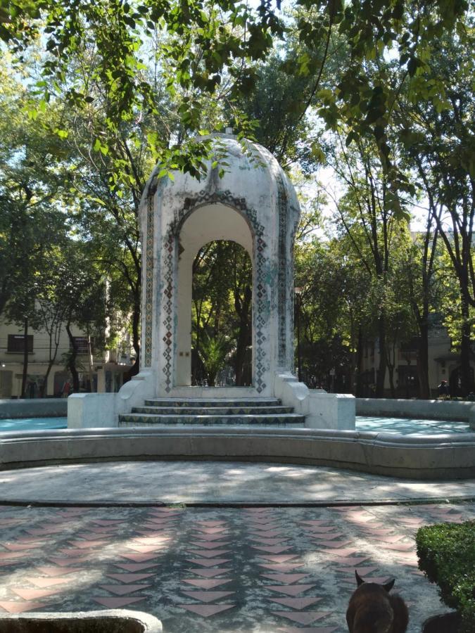 Charming Sunny Bedroom Overlooking Beautiful Amsterdam Avenue In Best Condesa Area Mexico City Exterior photo
